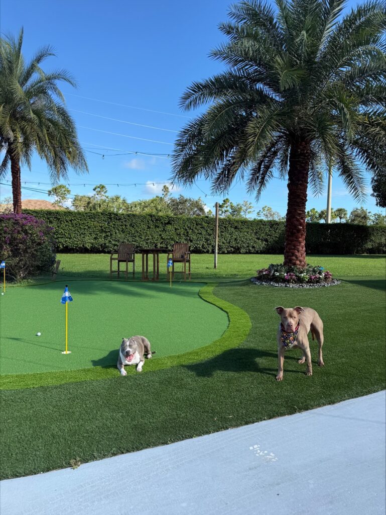 Artificial Turf Installation - Artificial Turf Guy - Lake Worth, Boca Raton, Delray Beach, Jupiter, West Palm Beach, Palm Beach County, Broward County, Martin County